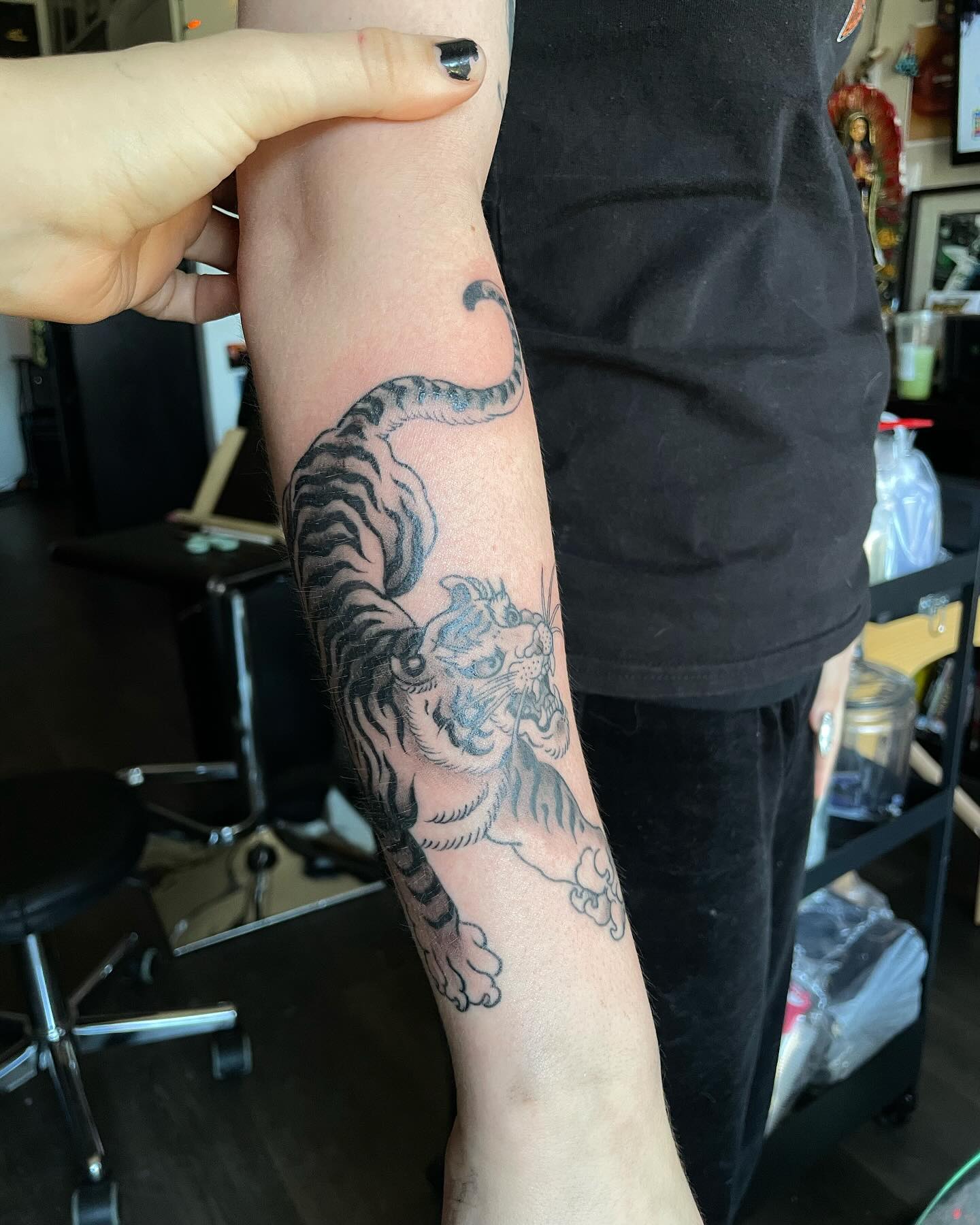 Illustrative black and gray tiger tattoo on a client's forearm