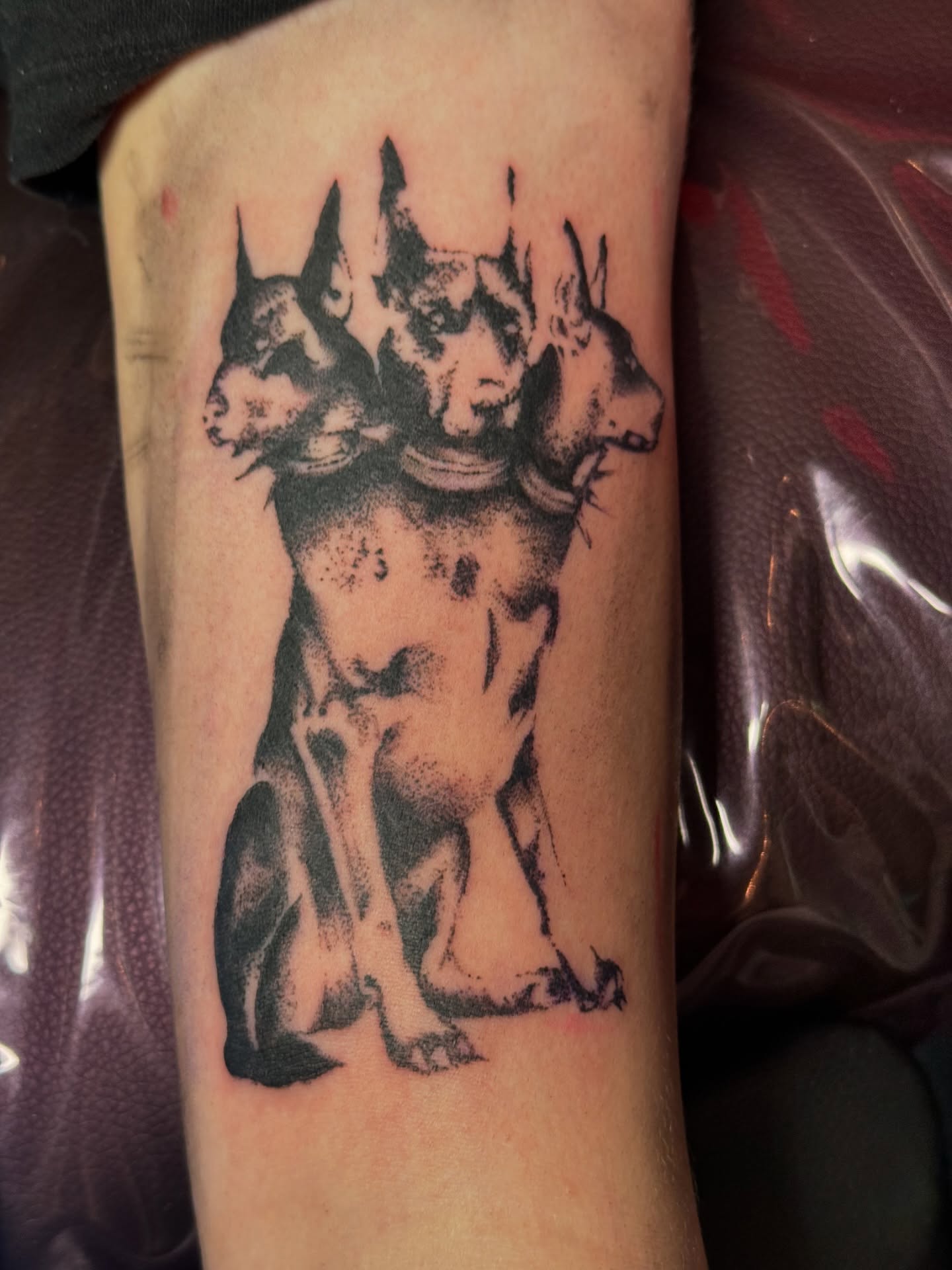Illustrative black tattoo of two cats